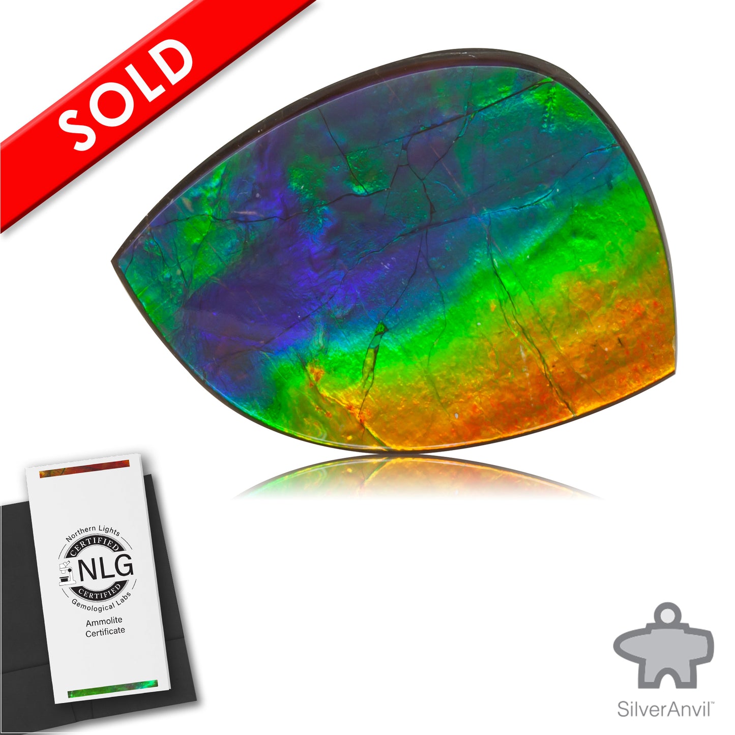 Ammolite Gem #024