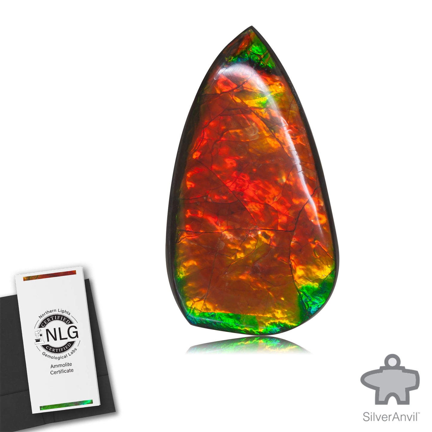 Ammolite Gem #002